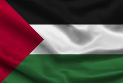 Support Flag (Palestine)