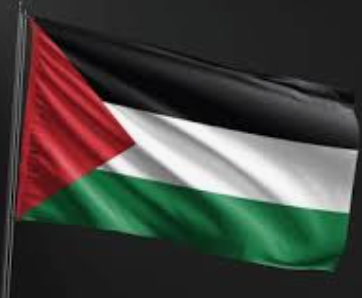 Support Flag (Palestine)