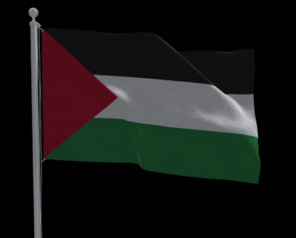 Support Flag (Palestine)