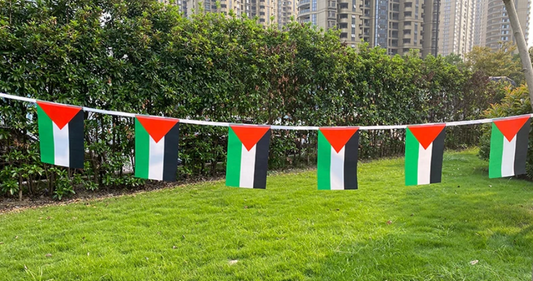 Pennant String Banner Palestinian